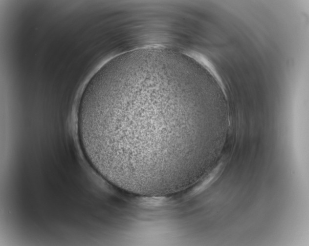 X0000089680859200707051605