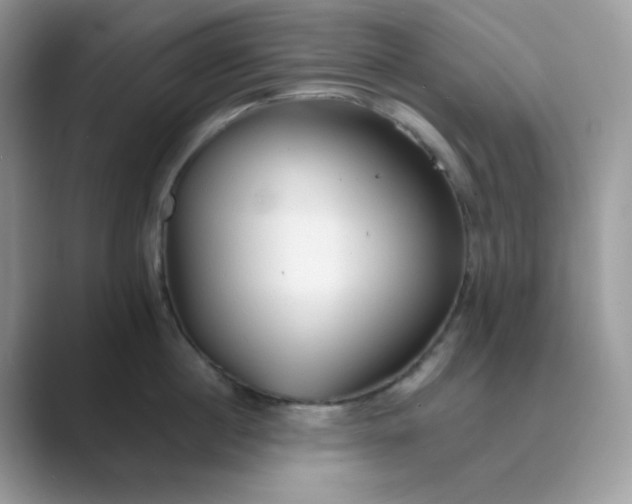 X0000089680860200707051605