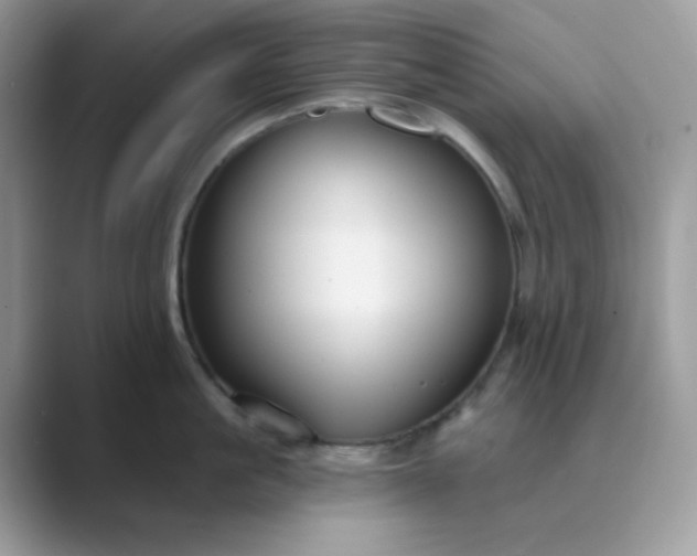 X0000089680861200707051605