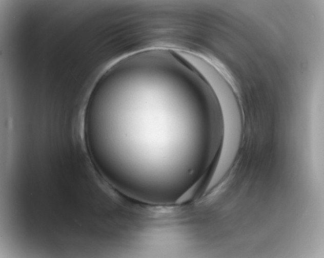 X0000089680862200707051605