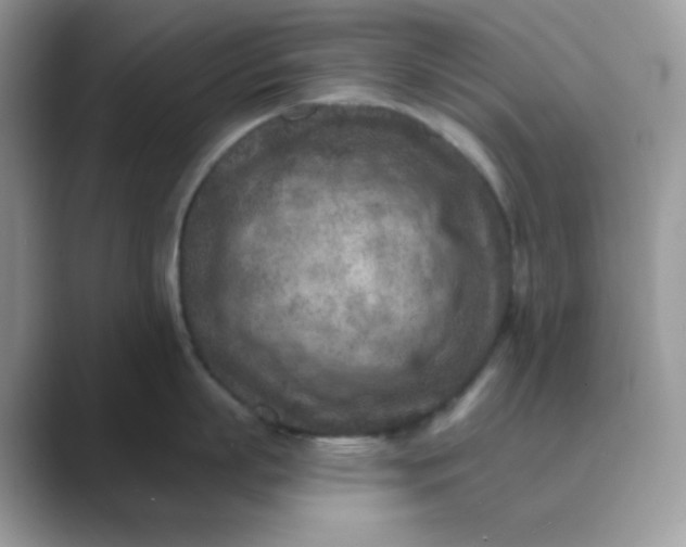 X0000089680863200707051605