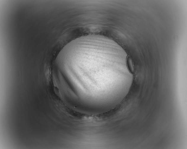 X0000089680866200707051605