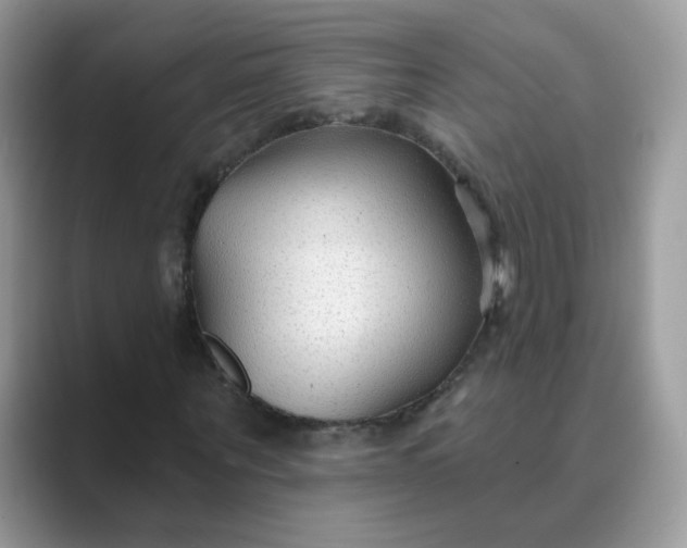 X0000089680867200707051605