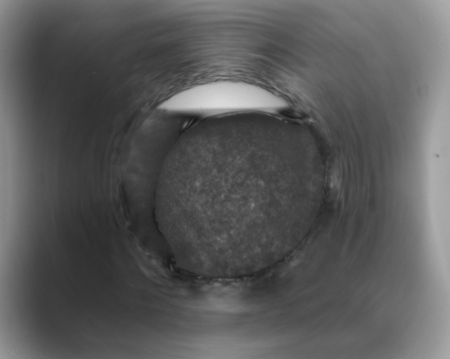 X0000089680868200707051605