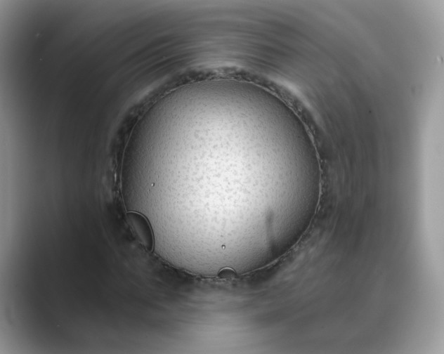 X0000089680871200707051605