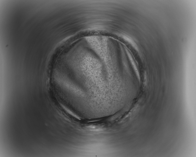 X0000089680872200707051605