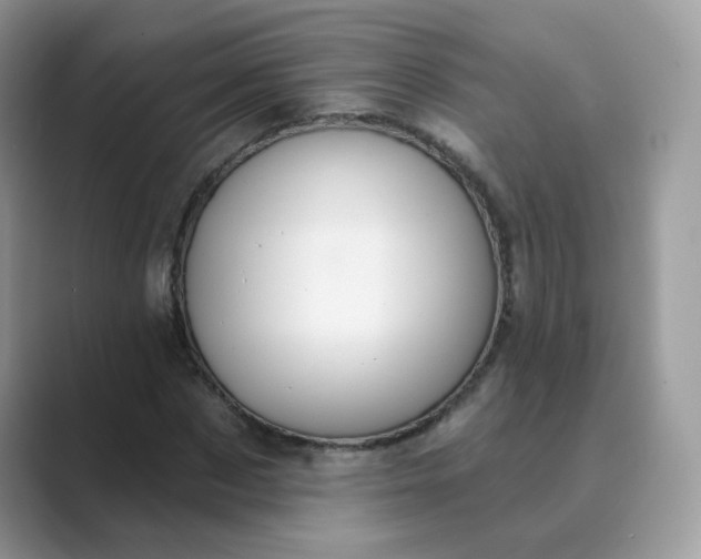 X0000089680873200707051605