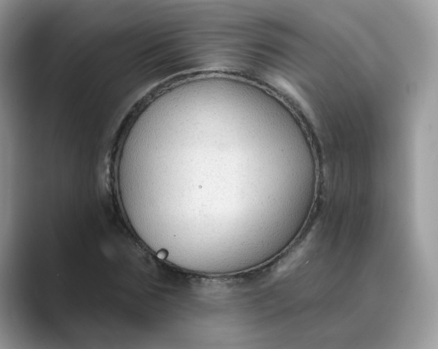X0000089680875200707051605