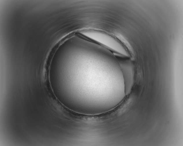 X0000089680876200707051604