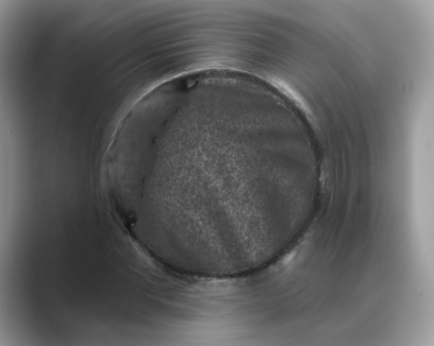 X0000089680877200707051604