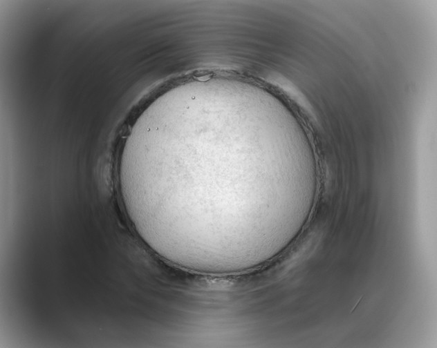 X0000089680878200707051604