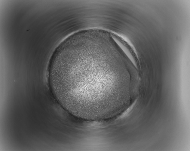 X0000089680879200707051604