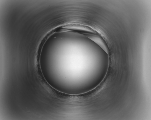 X0000089680880200707051604