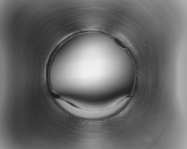 X0000089680884200707051604