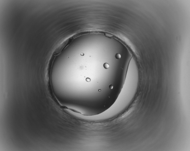 X0000089680885200707051604