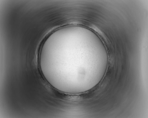 X0000089680886200707051604