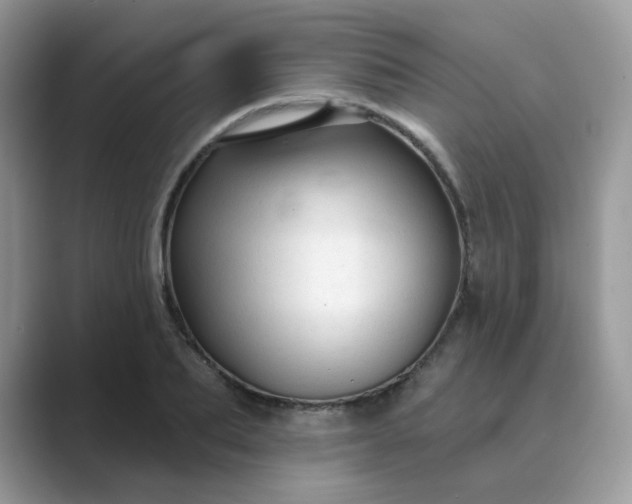 X0000089680887200707051604