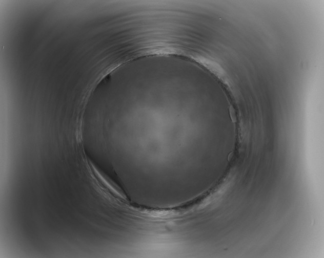 X0000089680889200707051604