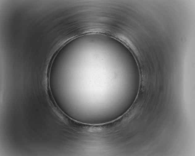 X0000089680890200707051604