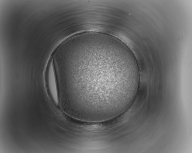 X0000089680891200707051604