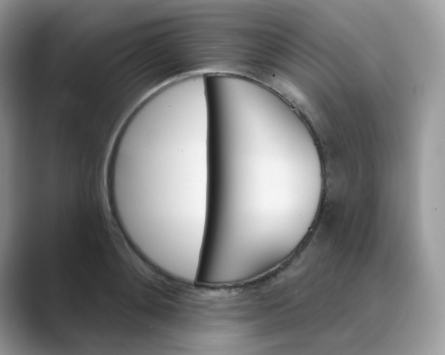 X0000089680892200707051604