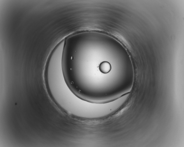 X0000089680893200707051604