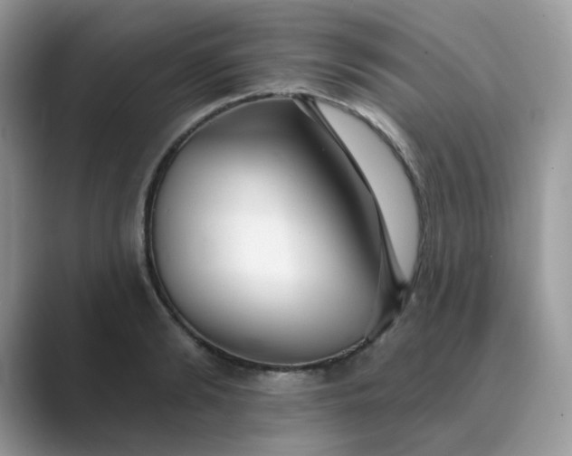 X0000089680894200707051604