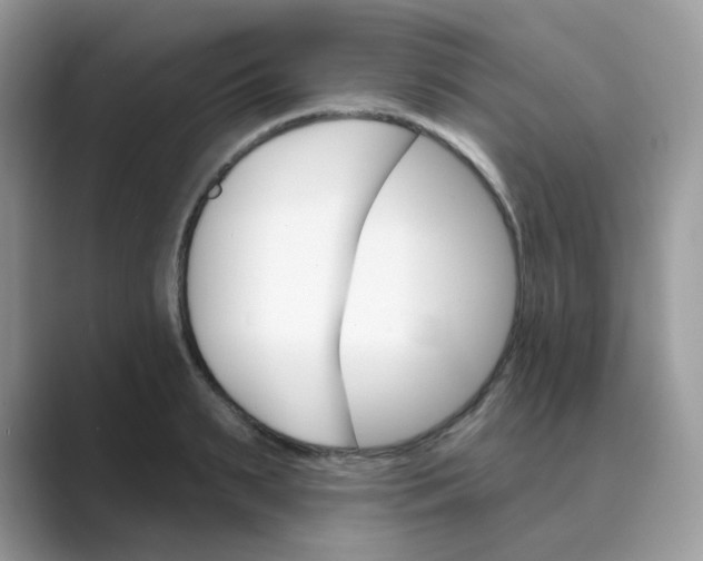 X0000089680895200707051604