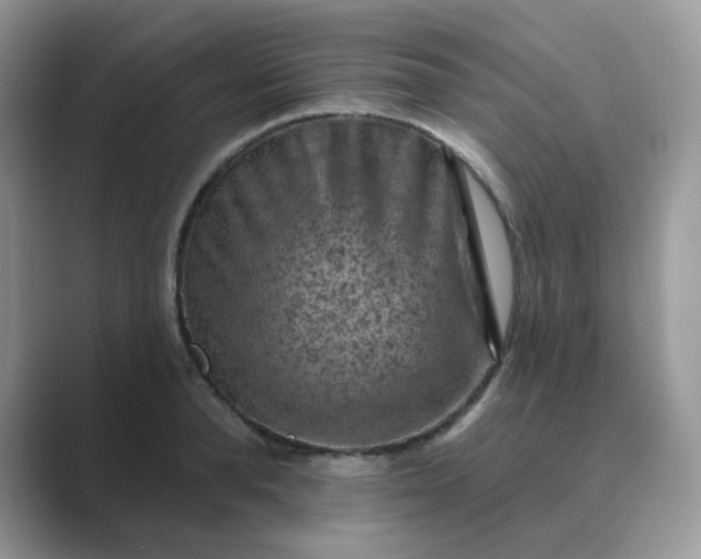 X0000089680896200707051604