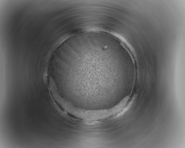 X0000089680897200707051604