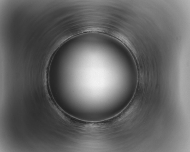 X0000089680898200707051604