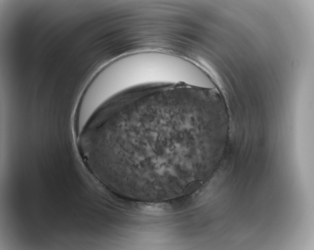 X0000089680899200707051604