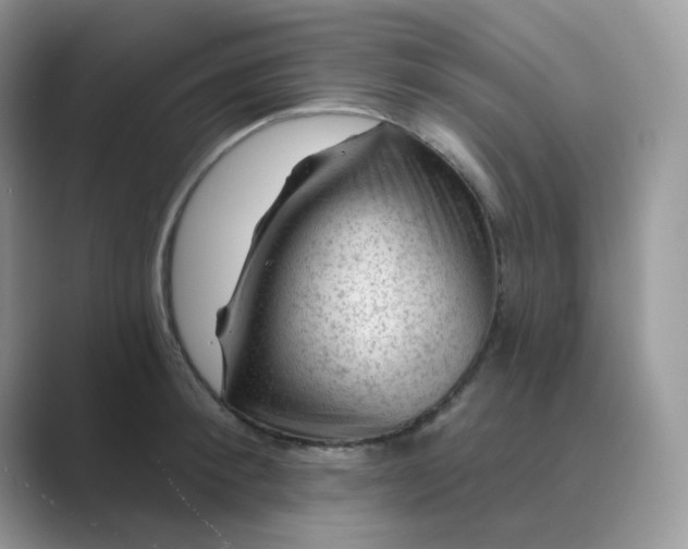 X0000089680900200707051604