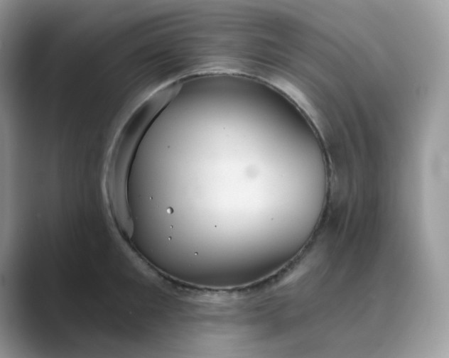 X0000089680901200707051604