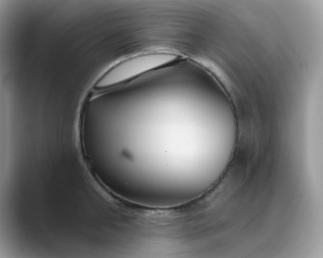 X0000089680902200707051604