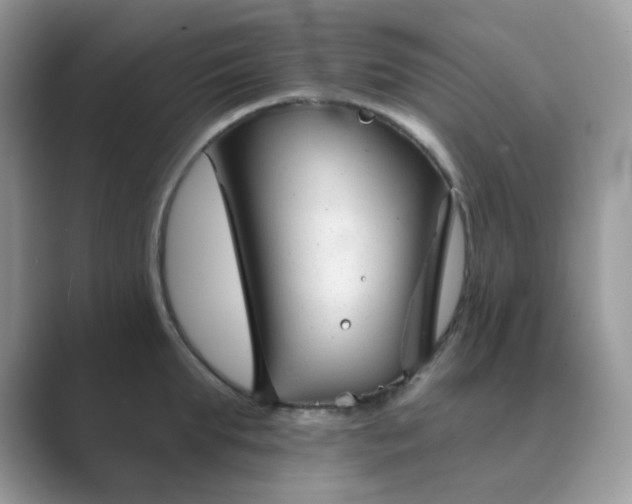 X0000089680903200707051604