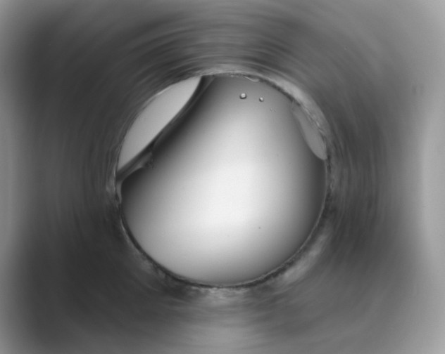 X0000089680905200707051604