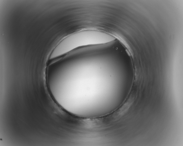 X0000089680906200707051604