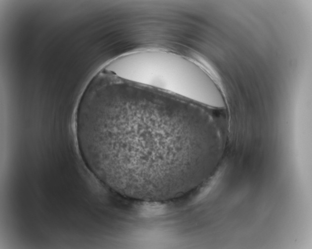 X0000089680907200707051604