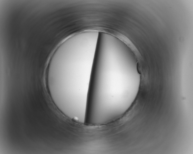 X0000089680908200707051604