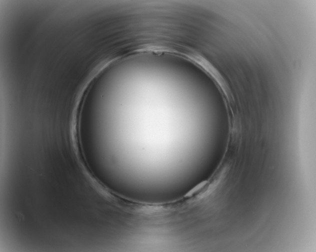 X0000089680909200707051604