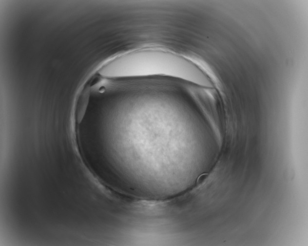 X0000089680910200707051604