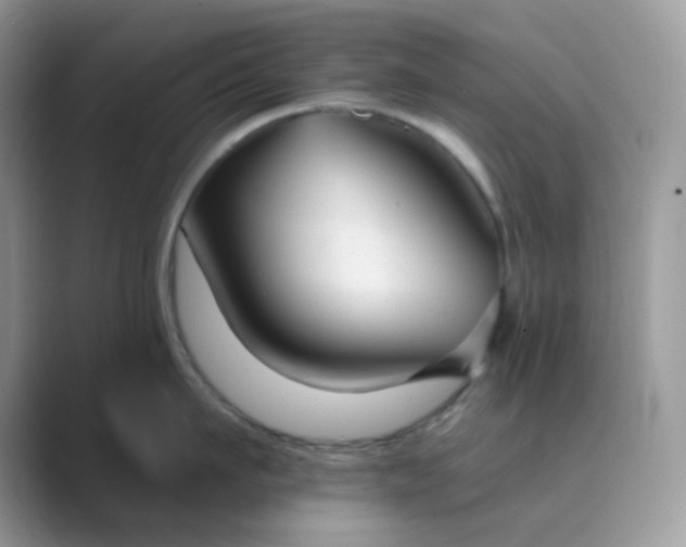 X0000089680911200707051604