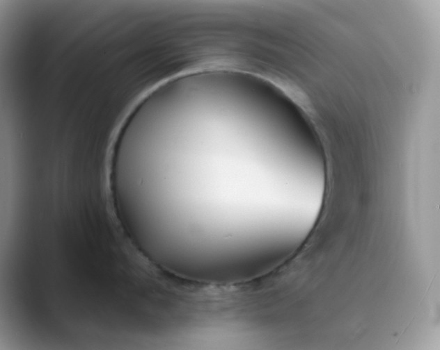 X0000089680912200707051604