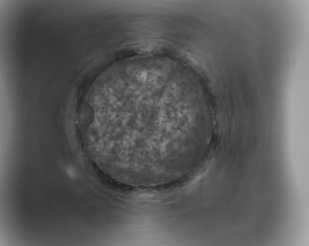 X0000089680913200707051604