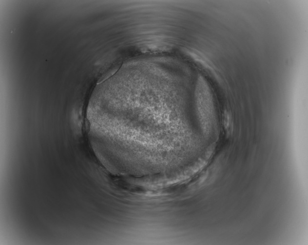 X0000089680915200707051604