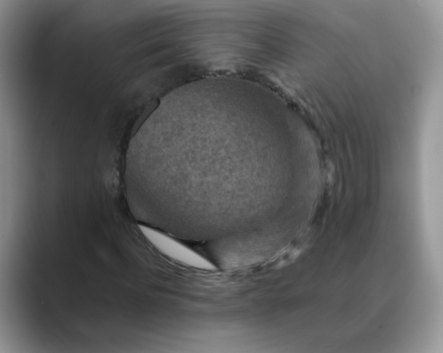 X0000089680916200707051604