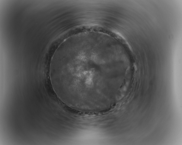 X0000089680919200707051604
