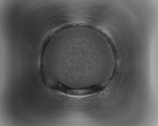 X0000089680920200707051604
