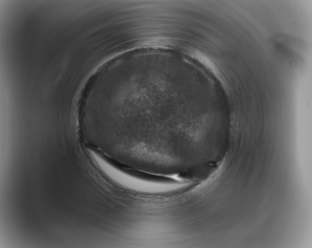 X0000089680923200707051604